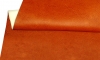 Si Giả Da R53