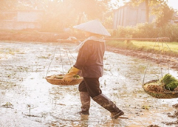 NHỮNG CHIẾC ỦNG ĐA DỤNG